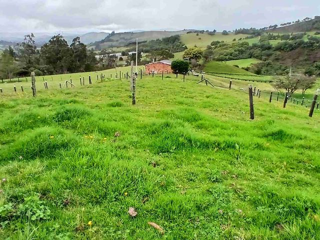 place photo 45