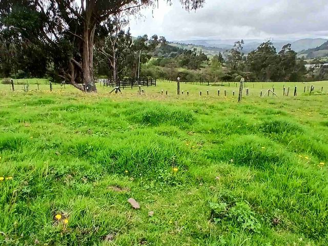 place photo 46