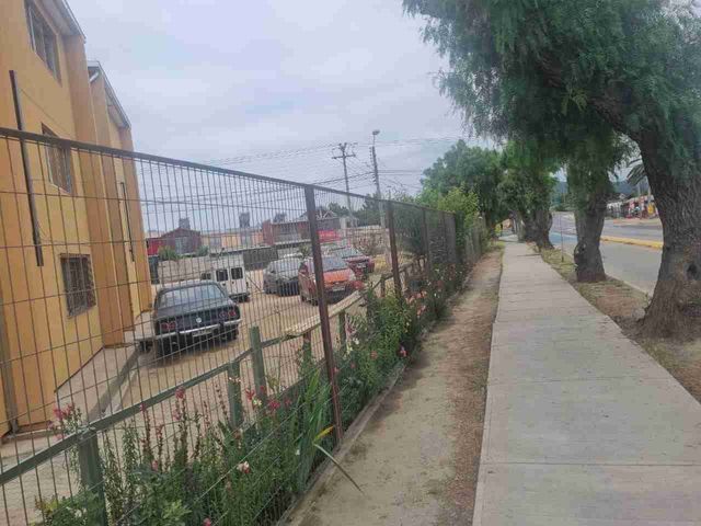 place photo 13