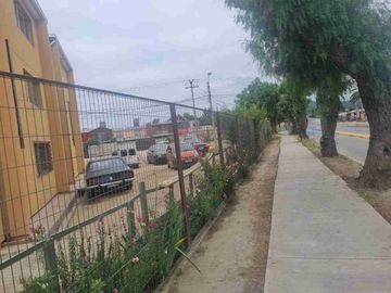place photo 13