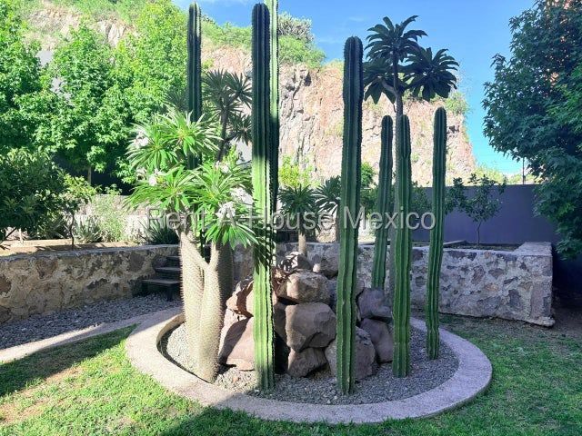 place photo 43