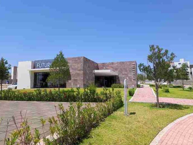 place photo 23