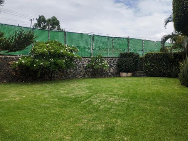 place photo 28
