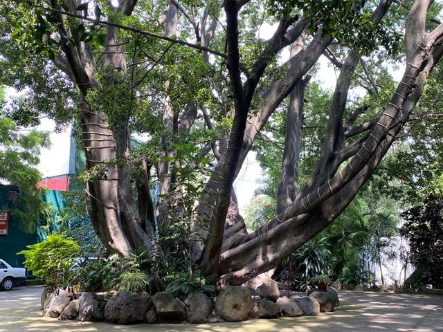 place photo 19