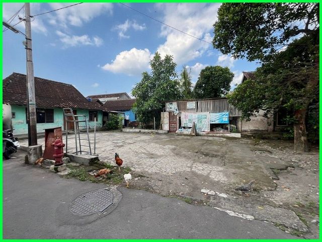 place photo 5