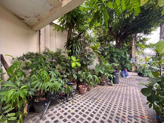 place photo 37