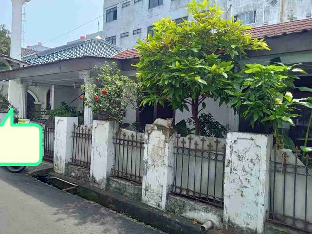place photo 1