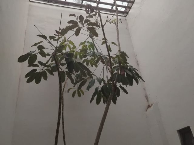 place photo 43