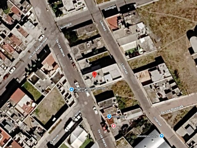 place photo 22