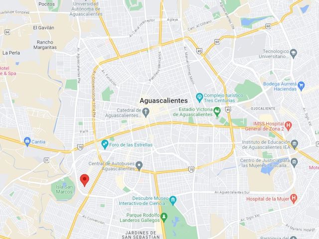 place photo 28