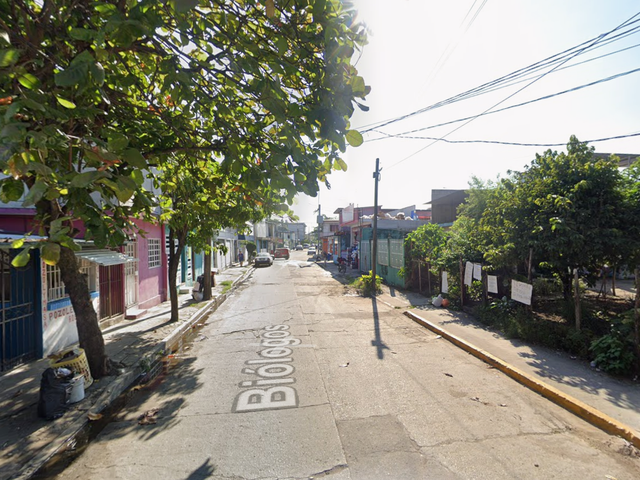 place photo 12