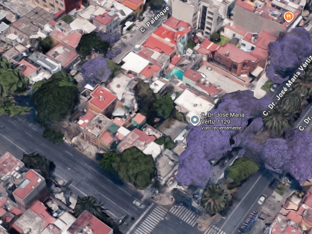 place photo 17
