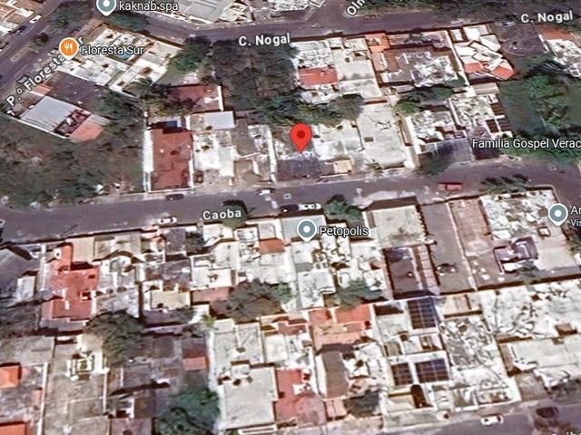 place photo 11