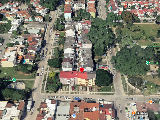 place photo 6