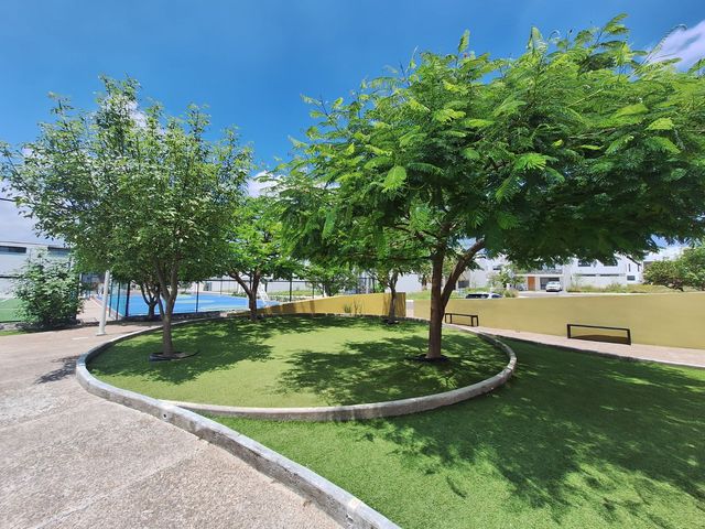 place photo 34
