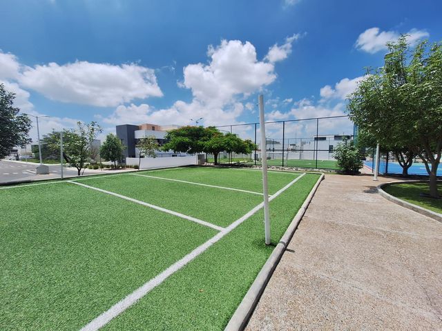 place photo 35