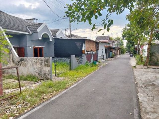place photo 2