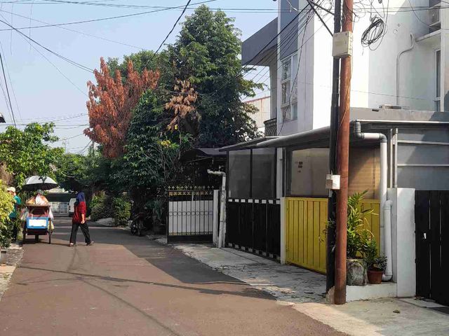 place photo 16