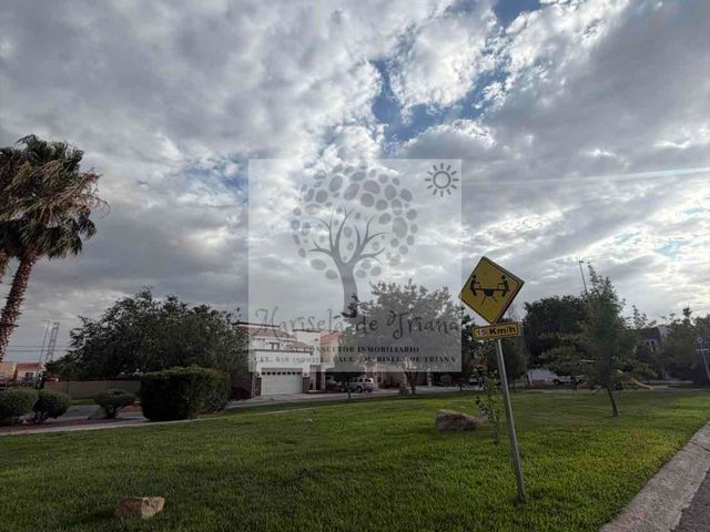 place photo 36