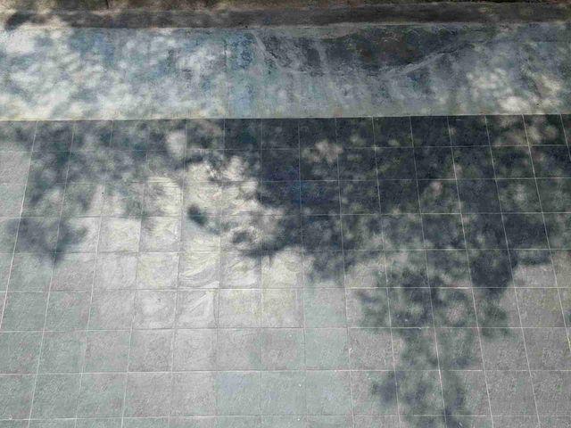 place photo 46