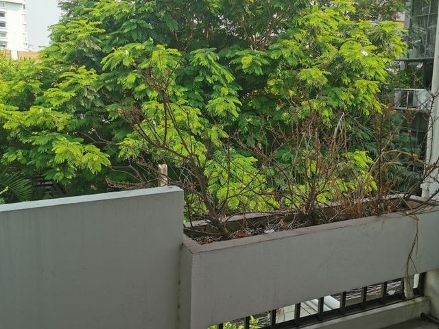place photo 35
