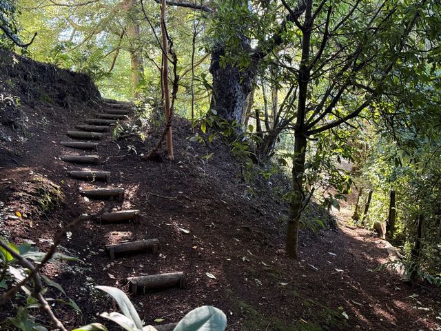 place photo 32
