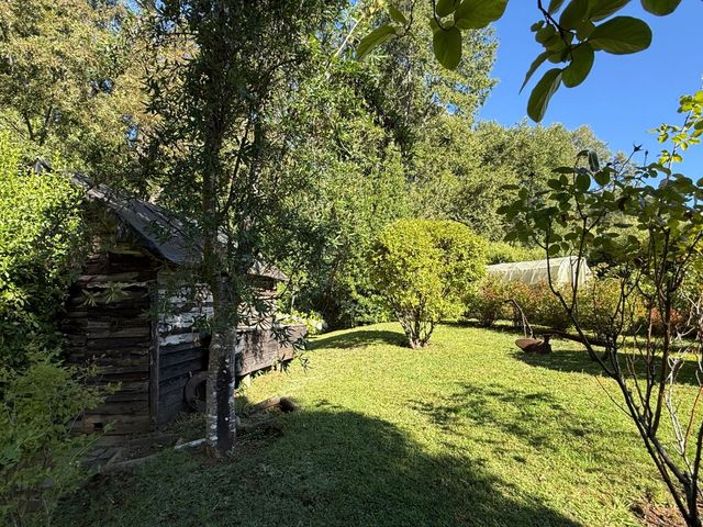 place photo 37