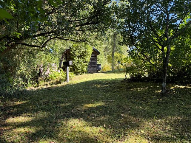 place photo 40