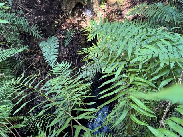 place photo 45