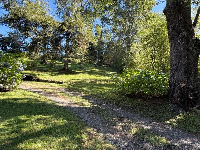 place photo 61