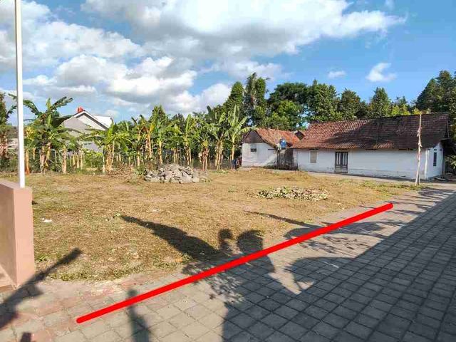 place photo 10