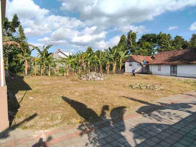 place photo 11