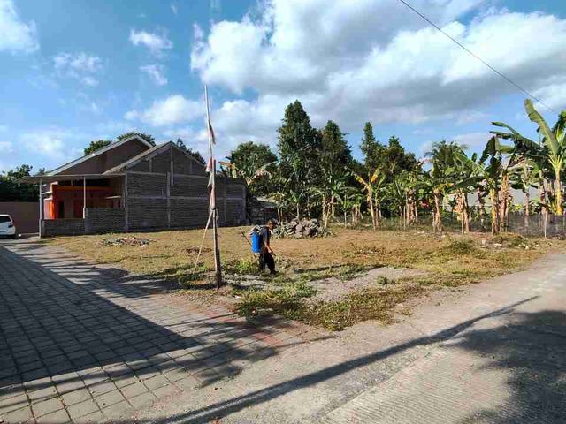 place photo 15