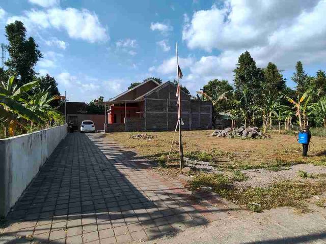 place photo 16