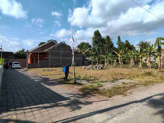 place photo 17