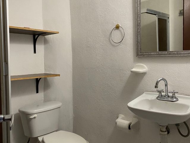 place photo 17
