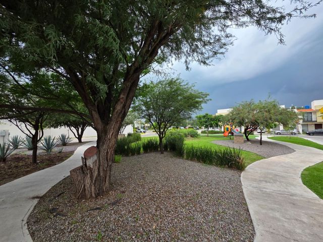 place photo 53