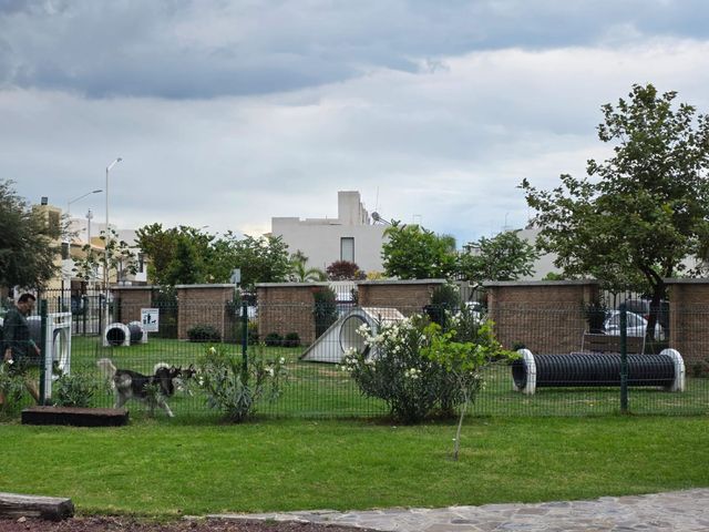 place photo 56