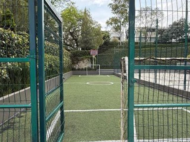 place photo 36