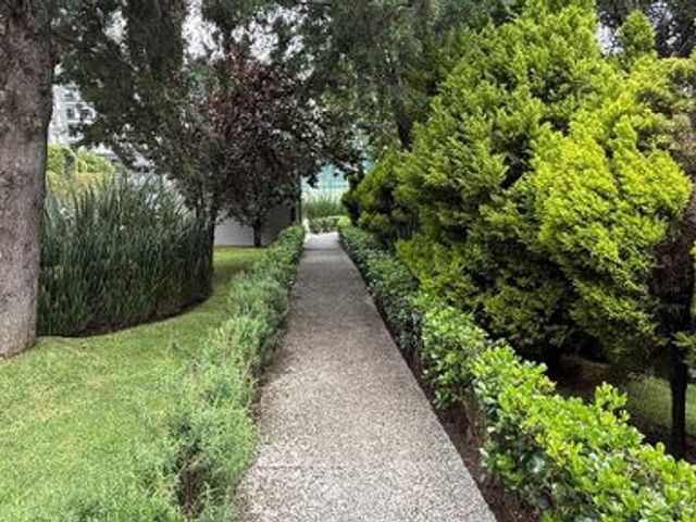 place photo 39