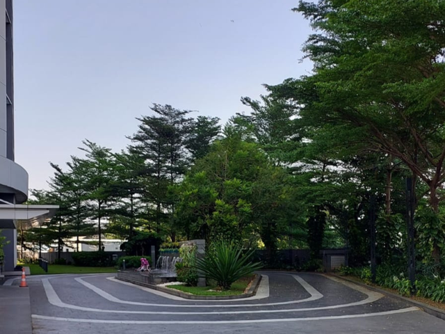 place photo 17
