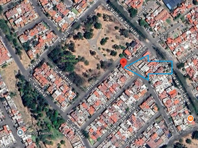 place photo 6