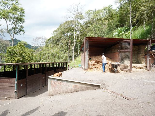 place photo 43