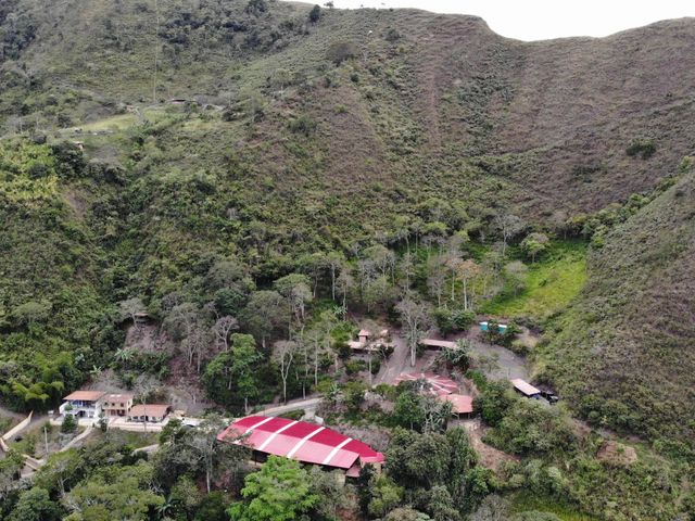 place photo 47