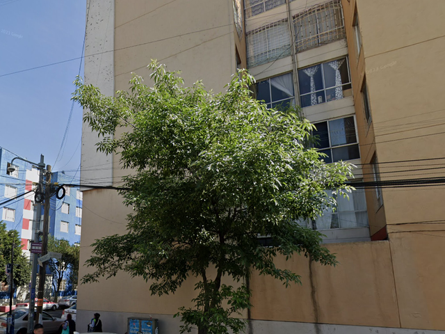 place photo 13