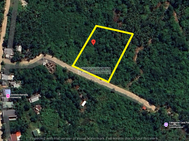 place photo 4