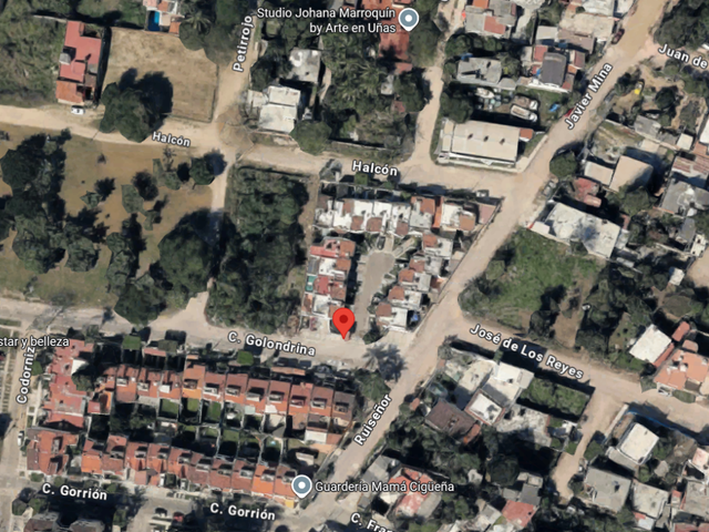 place photo 13