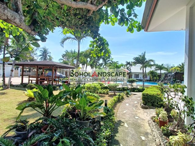 place photo 26