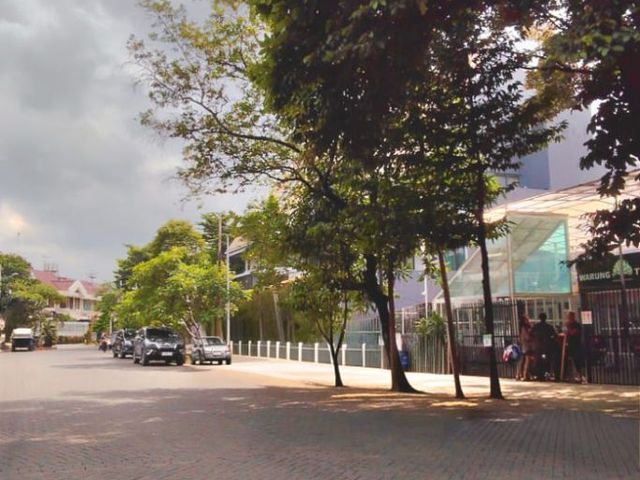 place photo 13