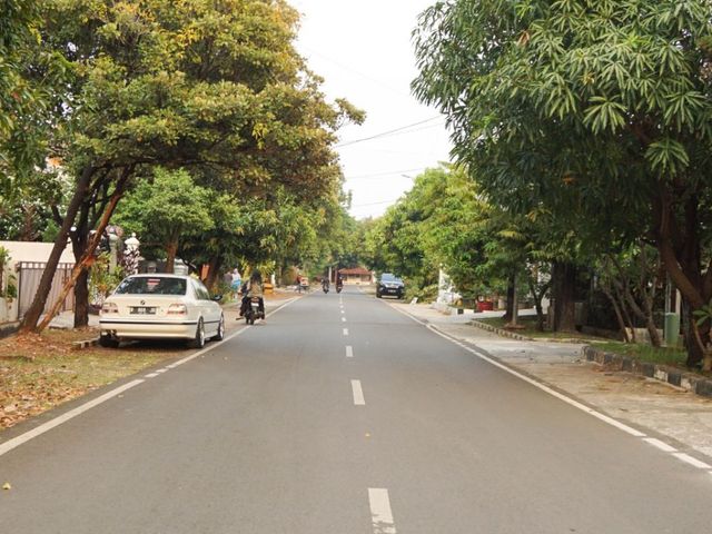 place photo 24
